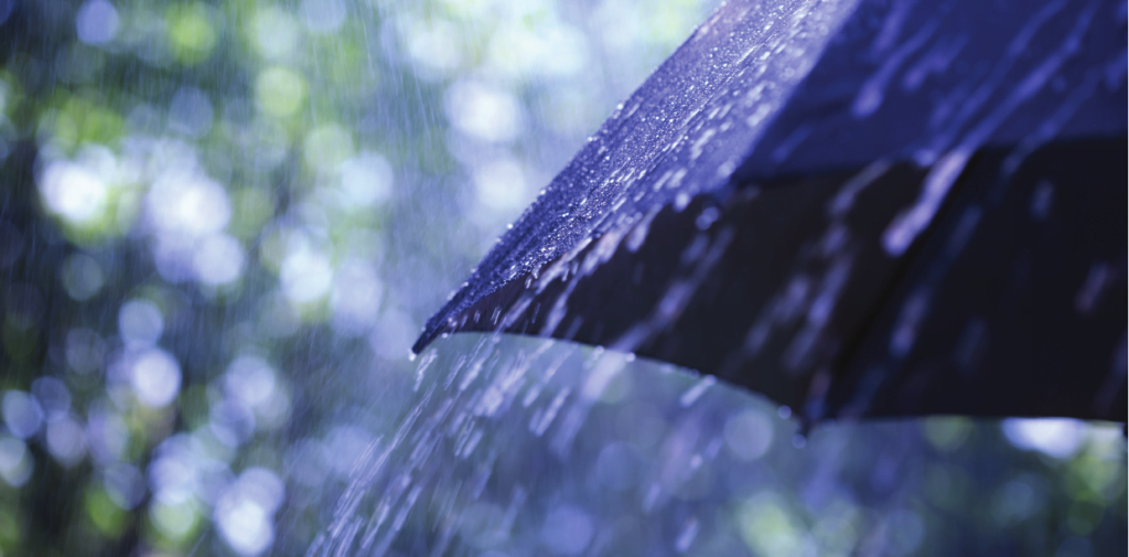 picture of an umbrella in the rain