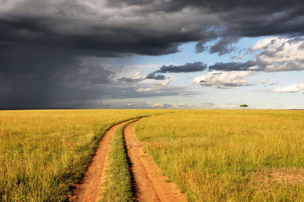 A path in a grassy field going away from storm clouds to a tree with a clear sky behind it