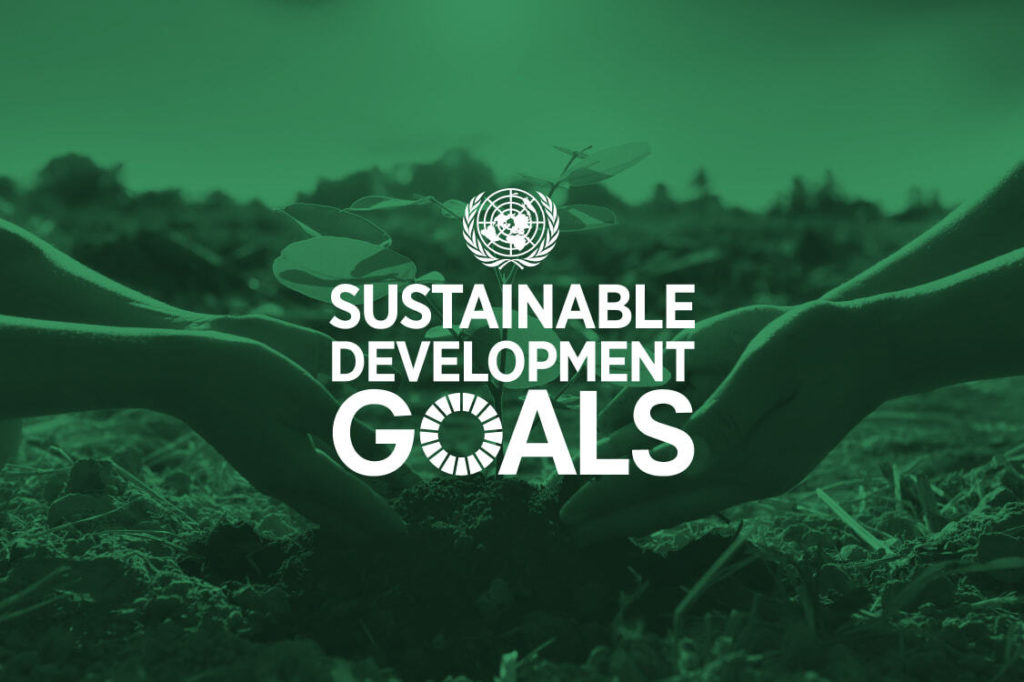 Sustainable Development Goals over an image of hands helping a plant grow