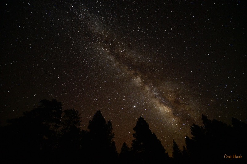 The night sky with the Milky Way visible above the tree line.