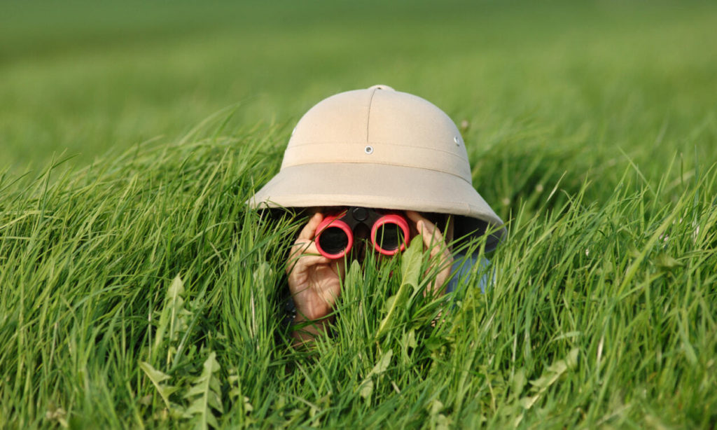 person in tall grass hardly visible searching for something with binoculars and a hate