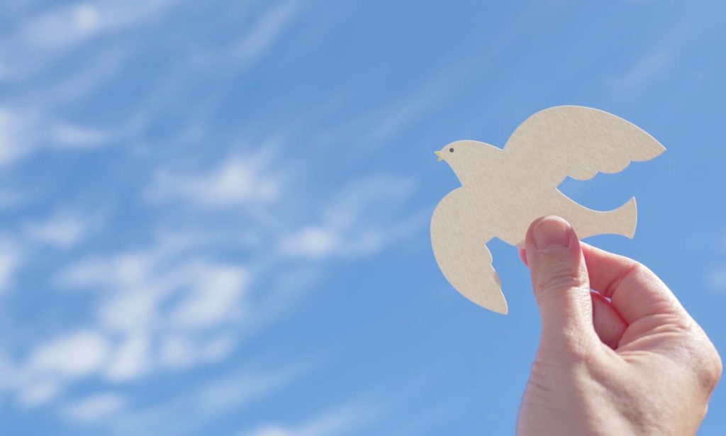 Hands holding white paper dove bird on blue cirrus cloud sky background