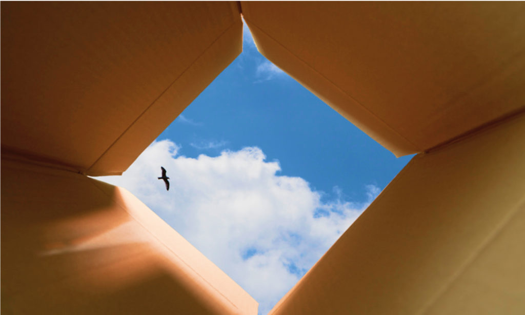 looking up through a cardboard box to a gorgeous sky with a bird flying above