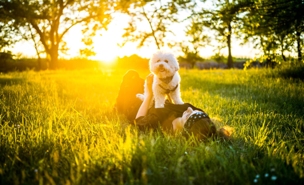 woman laying in the grass with a small dog sitting on her stomach. the sun is going down in the background.