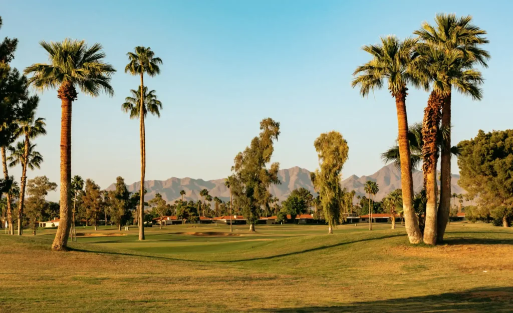 A golf course in Scottsdale, Arizona. The mountains are in the distance with vintage residences and palm trees in the foreground.