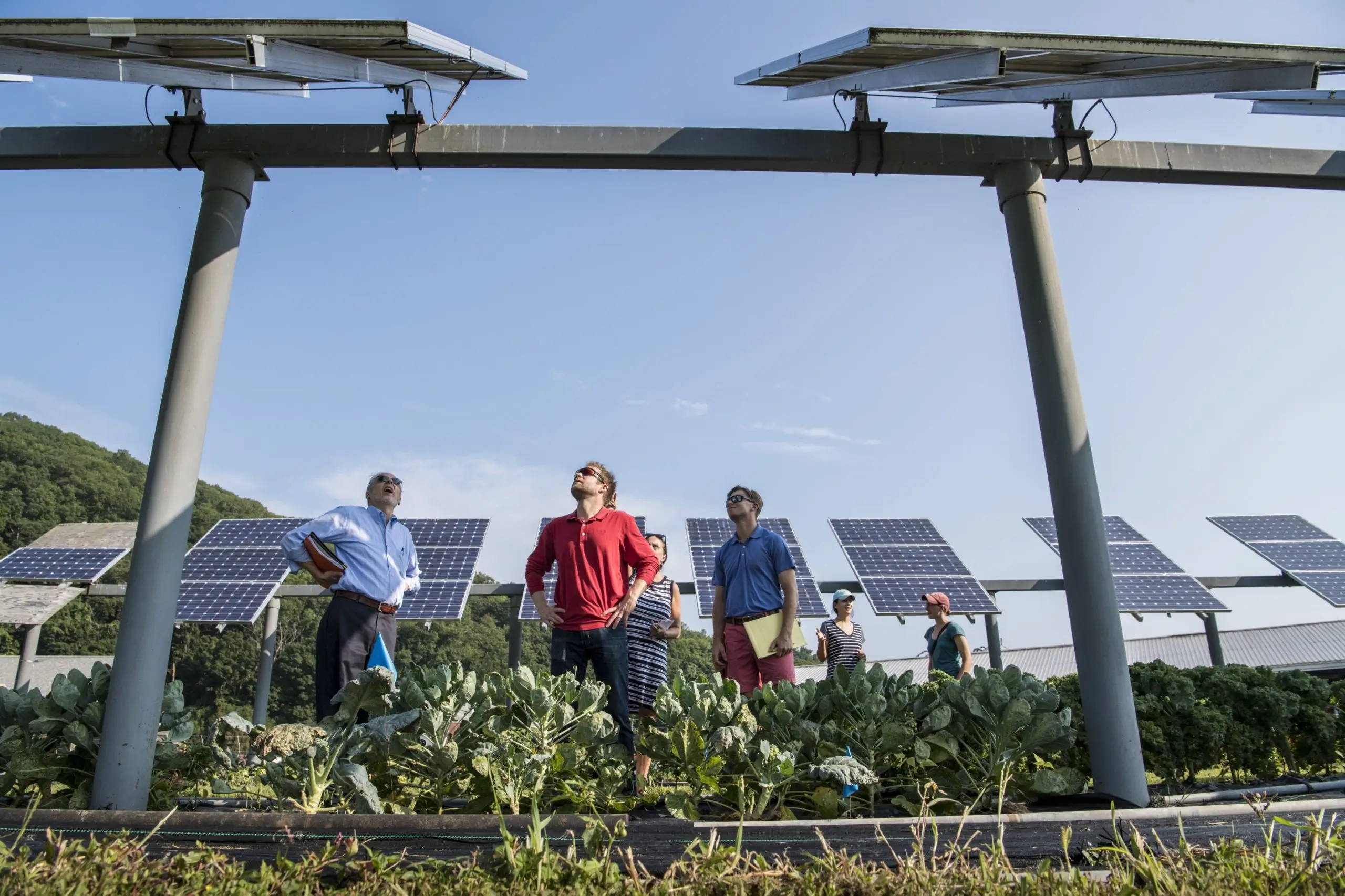 Workers looking up at solar panels