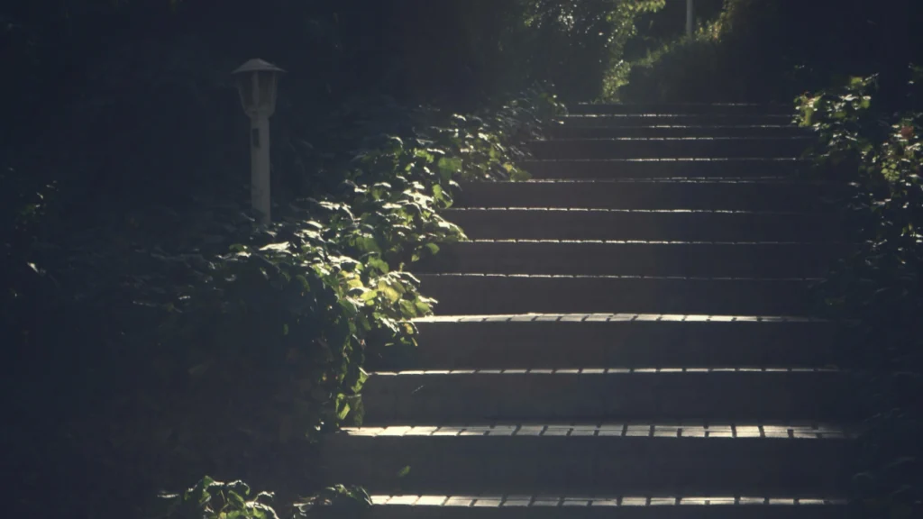 Sunlit outdoor staircase surrounded by greenery, symbolizing steady progress and growth over time.